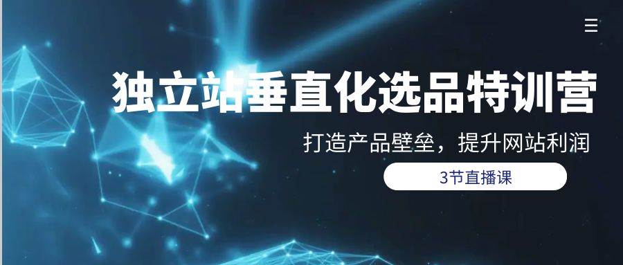 独立站-垂直化选品训练营，打造产品壁垒，提升网站利润（3节直播课）-赚钱网