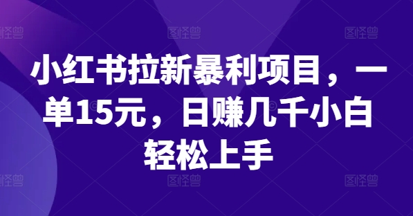 小红书拉新暴利项目，一单15元，日赚几千小白轻松上手【揭秘】-赚钱网