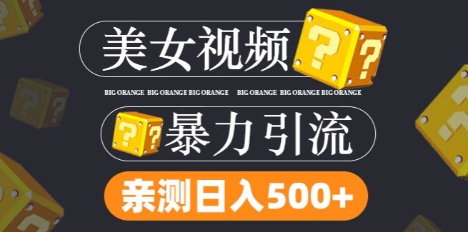 搬运tk美女视频全网分发，日引s粉300+，轻松变现，不限流量不封号【揭秘】-赚钱网