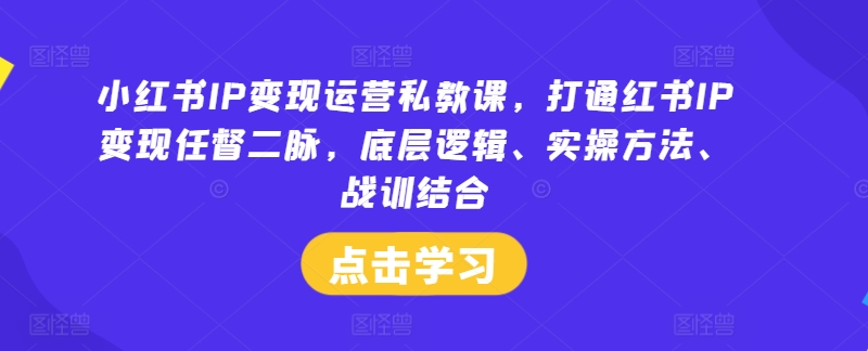 小红书IP变现运营私教课，打通红书IP变现任督二脉，底层逻辑、实操方法、战训结合-赚钱网
