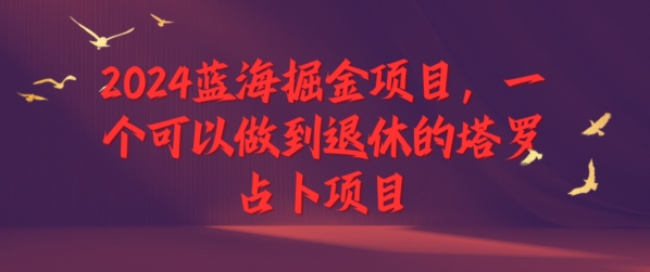 2024蓝海掘金项目，一个可以做到退休的塔罗占卜项目-赚钱网