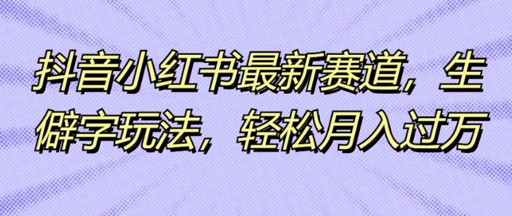 抖音小红书最新赛道，生僻字玩法，轻松月入过万-赚钱网