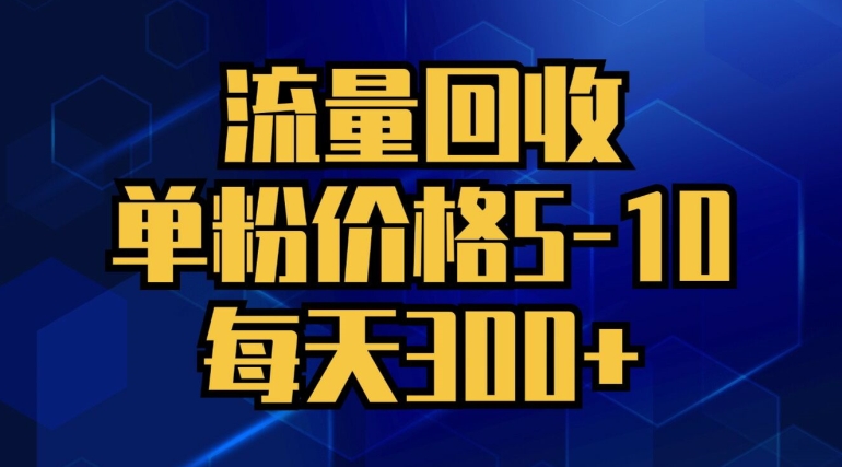 流量回收，单粉价格5-10，每天300+，轻松月入五位数-赚钱网
