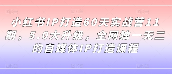 小红书IP打造60天实战营11期，5.0大升级，全网独一无二的自媒体IP打造课程-赚钱网