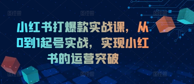小红书打爆款实战课，从0到1起号实战，实现小红书的运营突破-赚钱网