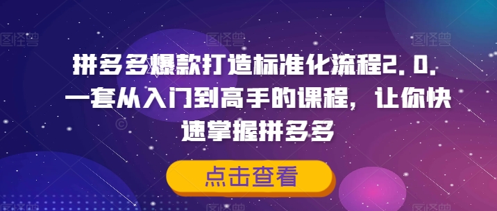 拼多多爆款打造标准化流程2.0，一套从入门到高手的课程，让你快速掌握拼多多-赚钱网