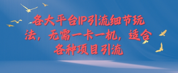 各大平台IP引流细节玩法，无需一卡一机，适合各种项目引流-赚钱网