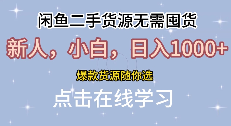 闲鱼二手货源无需国货，新人，小白，日入1k，爆款货源随你选-赚钱网