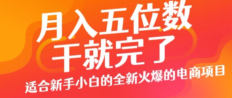 月入五位数，干就完了， 适合新手小白的全新火爆的电商项目-赚钱网