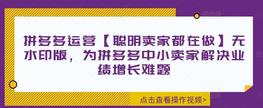 拼多多运营【聪明卖家都在做】无水印版，为拼多多中小卖家解决业绩增长难题-赚钱网