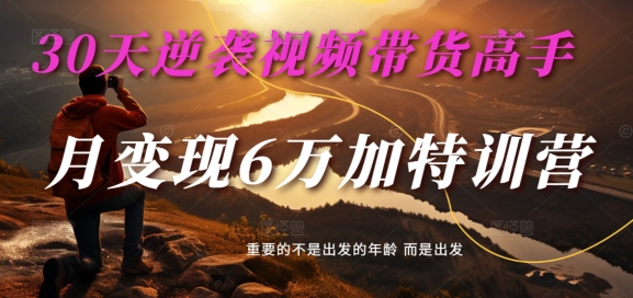 30天逆袭视频带货高手，单月变现6万加特训营-麦子甜-赚钱网