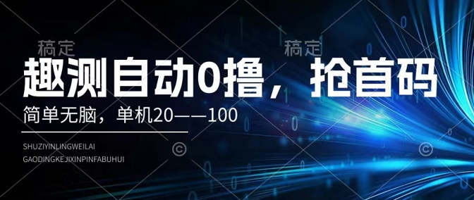 趣测自动0撸，简单无脑，单机20–100-赚钱网