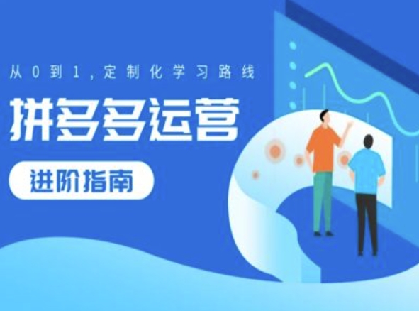 拼多多运营进阶指南，从0到1定制化学习路线-赚钱网