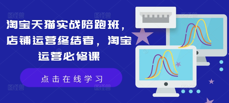 淘宝天猫实战陪跑班，店铺运营终结者，淘宝运营必修课-赚钱网