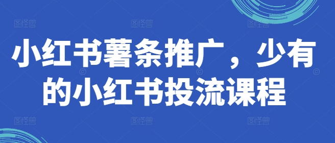 小红书薯条推广，少有的小红书投流课程-赚钱网