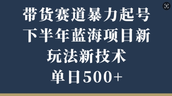 带货赛道暴力起号，下半年蓝海项目，新玩法新技术，单日500+-赚钱网