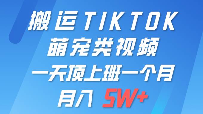 一键搬运TIKTOK萌宠类视频 一部手机即可操作 所有平台均可发布 轻松月入5W+-赚钱网