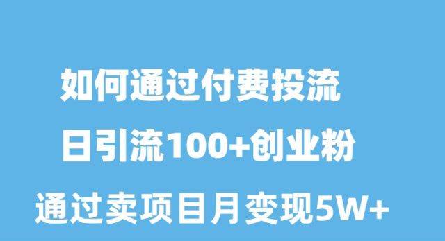 如何通过付费投流日引流100+创业粉月变现5W+-赚钱网