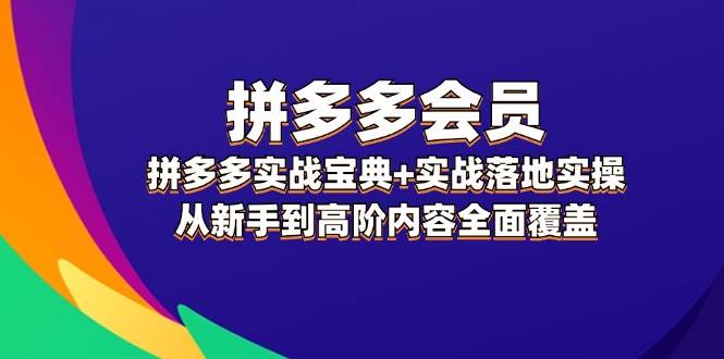 拼多多 会员，拼多多实战宝典+实战落地实操，从新手到高阶内容全面覆盖-赚钱网