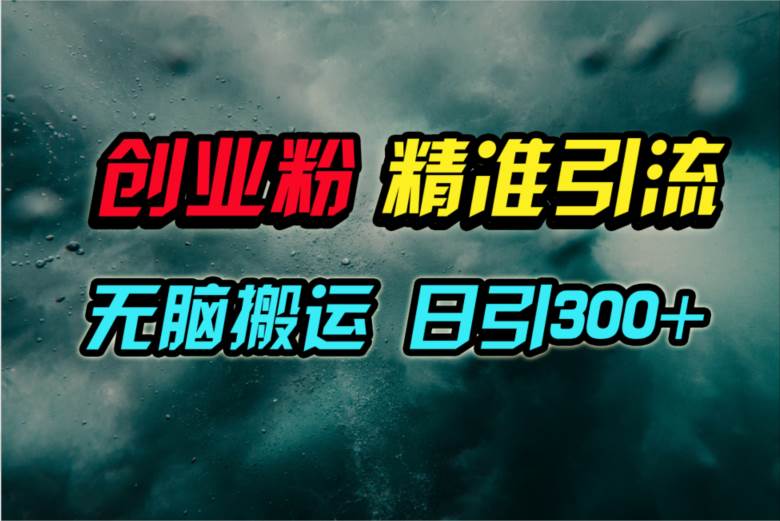 视频号纯搬运日引300+创业粉教程！-赚钱网