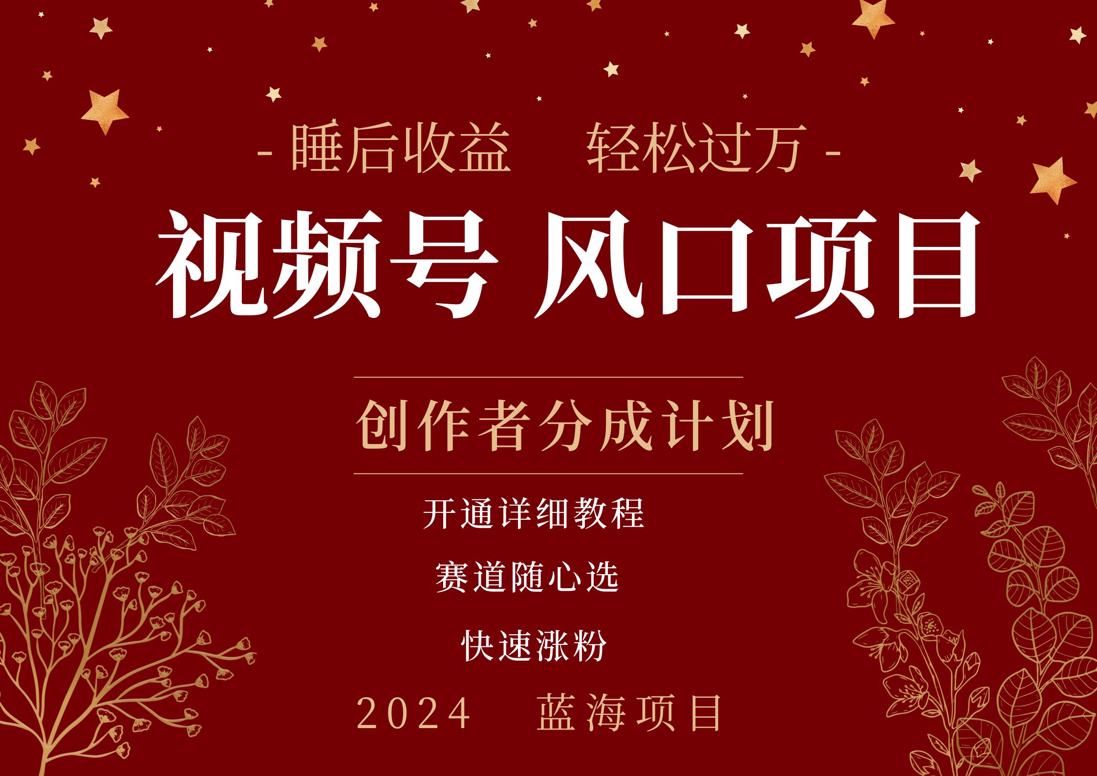 拥有睡眠收益的微信视频号大风口项目，轻松月入过万+，多赛道选择，可矩阵，玩法简单轻松上手-赚钱网