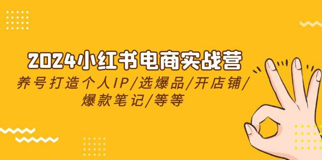 2024小红书电商实战营，养号打造IP/选爆品/开店铺/爆款笔记/等等（24节）-赚钱网