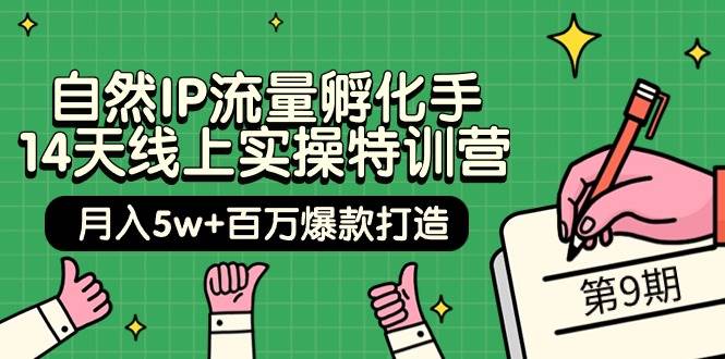 自然IP流量孵化手 14天线上实操特训营【第9期】月入5w+百万爆款打造 (74节)-赚钱网