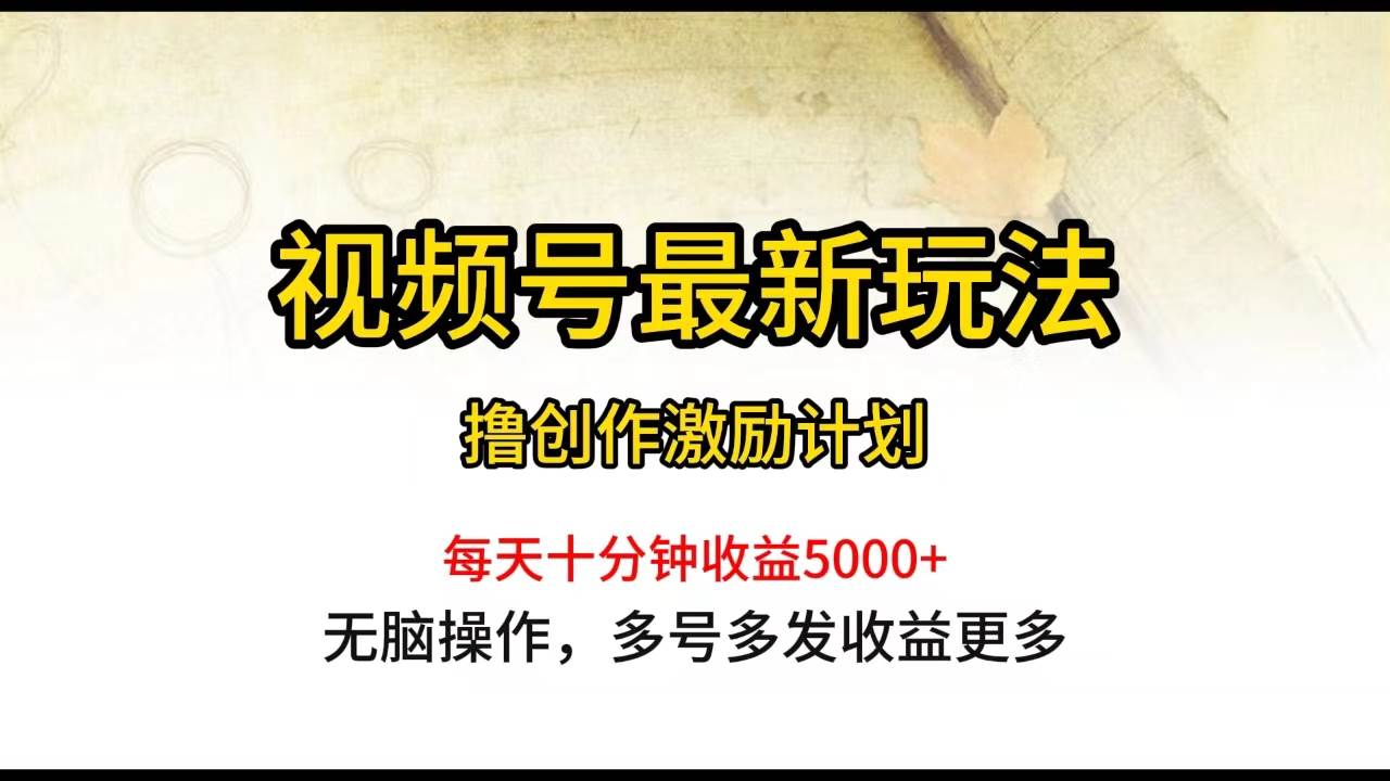视频号最新玩法，每日一小时月入5000+-赚钱网