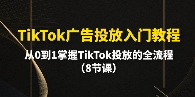 TikTok广告投放入门教程，从0到1掌握TikTok投放的全流程（8节课）-赚钱网