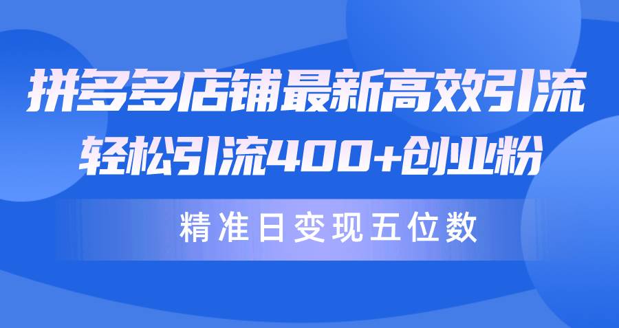 拼多多店铺最新高效引流术，轻松引流400+创业粉，精准日变现五位数！-赚钱网