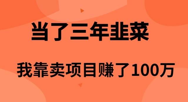 当了3年韭菜，我靠卖项目赚了100万-赚钱网