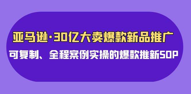 亚马逊30亿·大卖爆款新品推广，可复制、全程案例实操的爆款推新SOP-赚钱网
