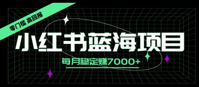 小红书蓝海项目，零门槛、高回报，每月稳定赚7000+-赚钱网