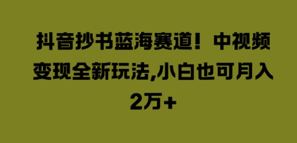 抖音抄书蓝海赛道，中视频变现全新玩法，小白也可月入2W+-赚钱网