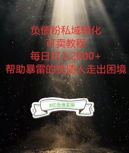 负债粉掘金计划，帮助负债者解决问题，债务规划，债务重组，最好的变现方式【揭秘】-赚钱网