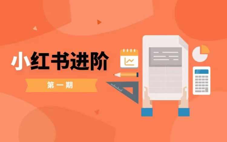 小红书进阶篇，零基础小白实战课，普通人变现的课程-赚钱网