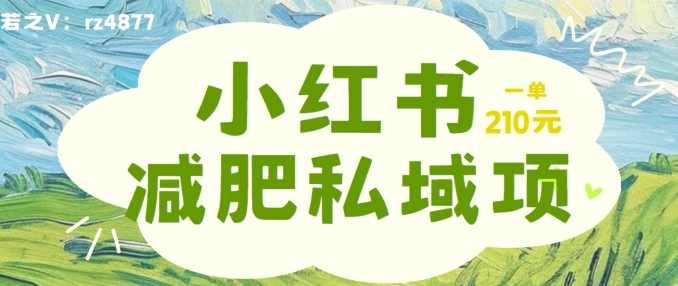 小红书减肥粉，私域变现项目，一单就达210元，小白也能轻松上手【揭秘】-赚钱网