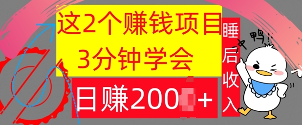 这2个项目，3分钟学会，日赚几张，懒人捡钱-赚钱网