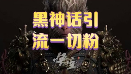 黑神话悟空五分钟打造爆款私域引流视频-赚钱网