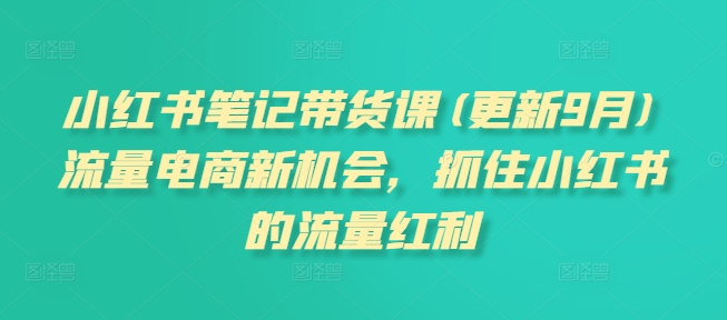 小红书笔记带货课(更新9月)流量电商新机会，抓住小红书的流量红利-赚钱网