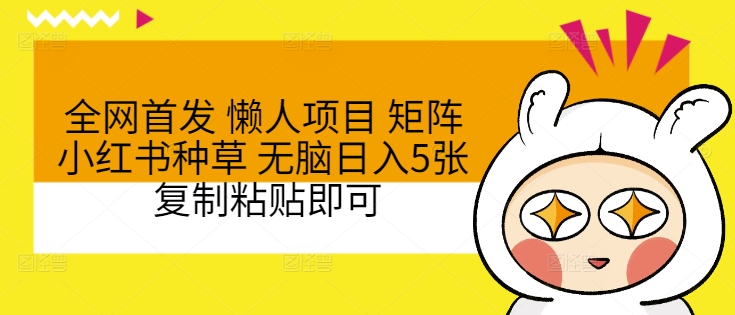 全网首发 懒人项目 矩阵小红书种草 无脑日入5张 复制粘贴即可-赚钱网