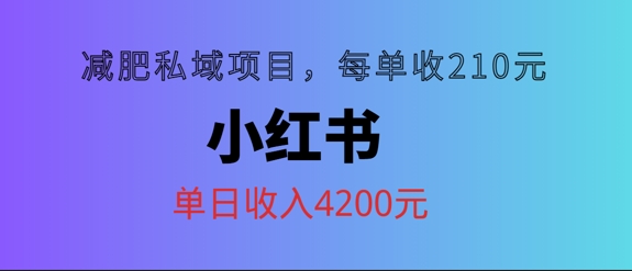小红书减肥私域项目，每单210元，单日可卖出15单，利润3150-赚钱网