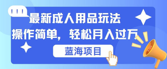 最新成人用品项目玩法，操作简单，动动手，轻松日入几张【揭秘】-赚钱网