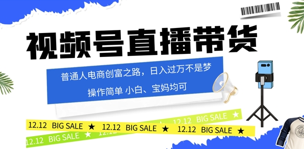 视频号读稿带货，普通人电商创富之路，小白、宝妈均可-赚钱网