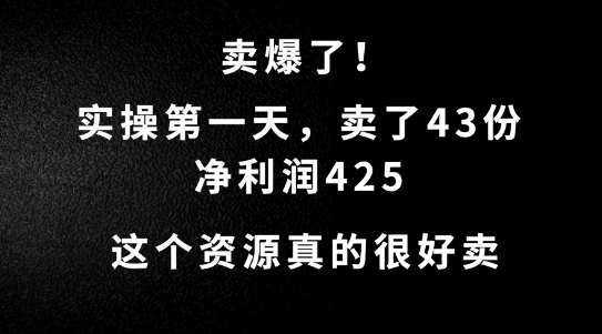 这个资源，需求很大，实操第一天卖了43份，净利润425【揭秘】-赚钱网