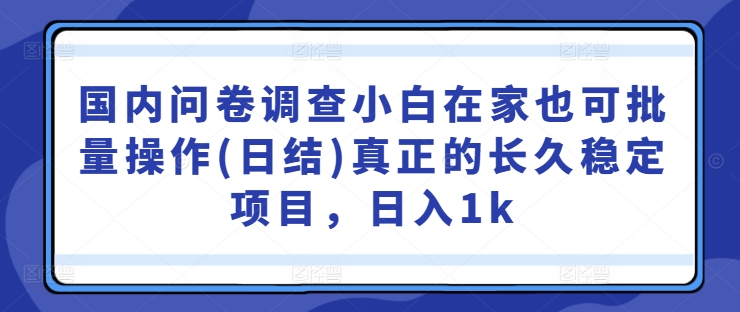 国内问卷调查小白在家也可批量操作(日结)真正的长久稳定项目，日入1k【揭秘】-赚钱网