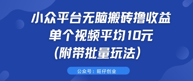 小众平台无脑搬砖撸收益 单个视频平均10元 (附带批量玩法)-赚钱网