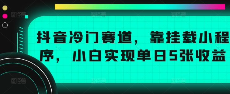抖音冷门赛道，靠挂载小程序，小白实现单日5张收益-赚钱网