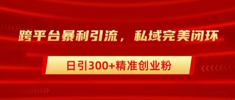 跨平台暴力引流，私域完美闭环，日引100+精准创业粉-赚钱网