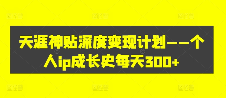 ip300-赚钱网